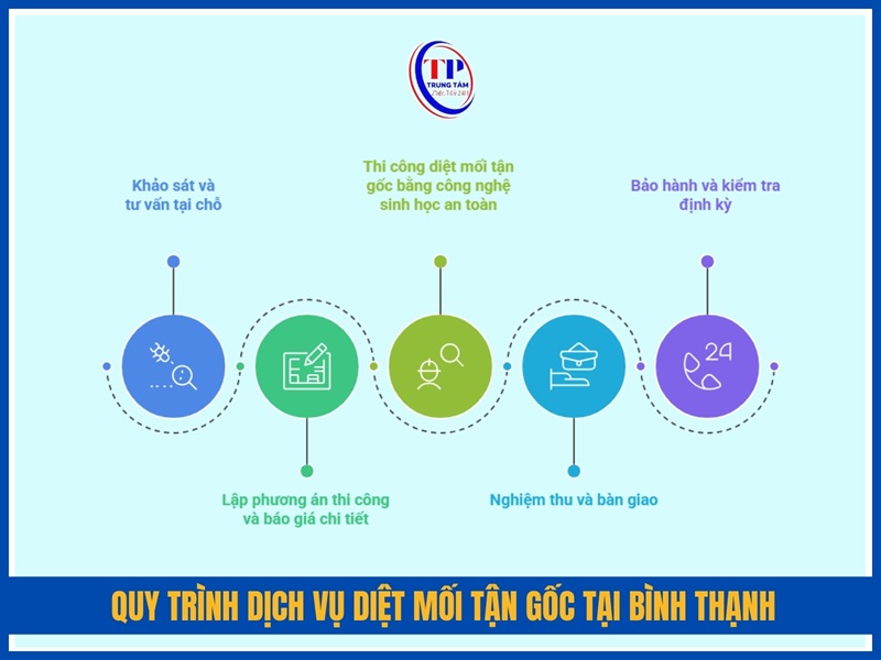 Quy trình dịch vụ diệt mối tận gốc tại Bình Thạnh