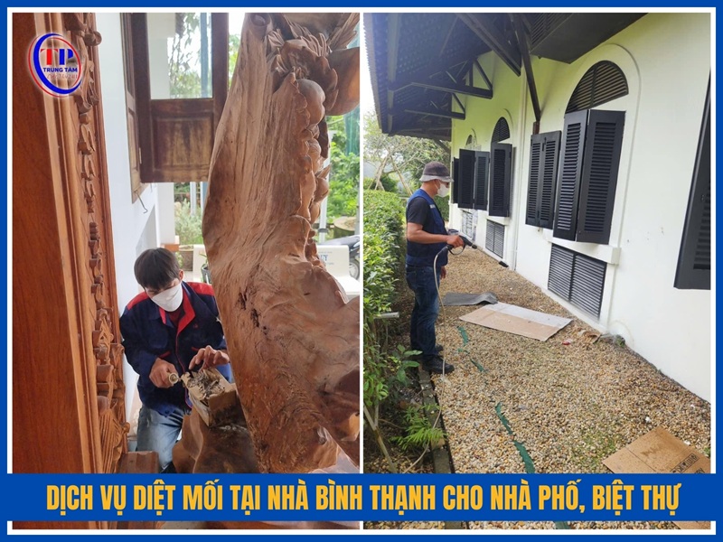Dịch vụ diệt mối tại nhà Bình Thạnh cho nhà phố, biệt thự