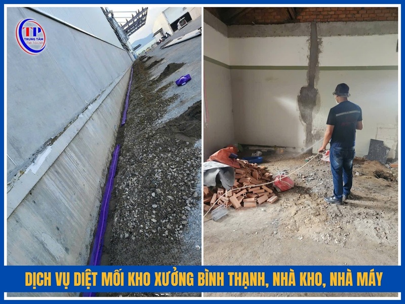 Dịch vụ diệt mối kho xưởng Bình Thạnh, nhà kho, nhà máy