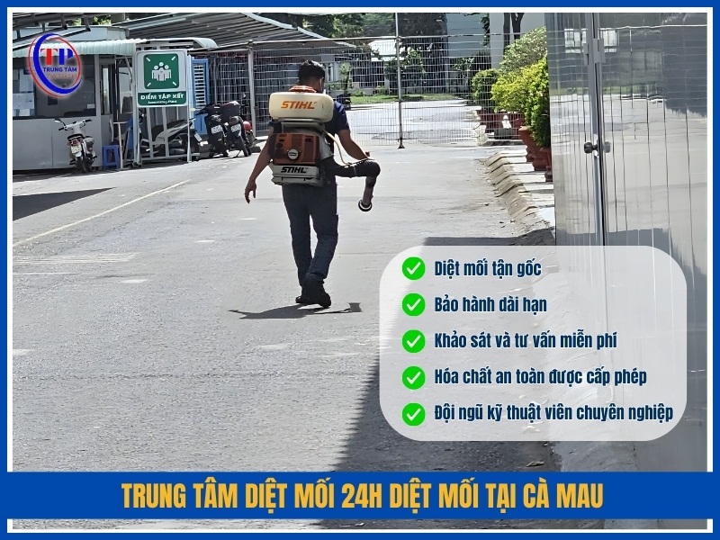 Trung Tâm Diệt Mối 24H diệt mối tại Cà Mau