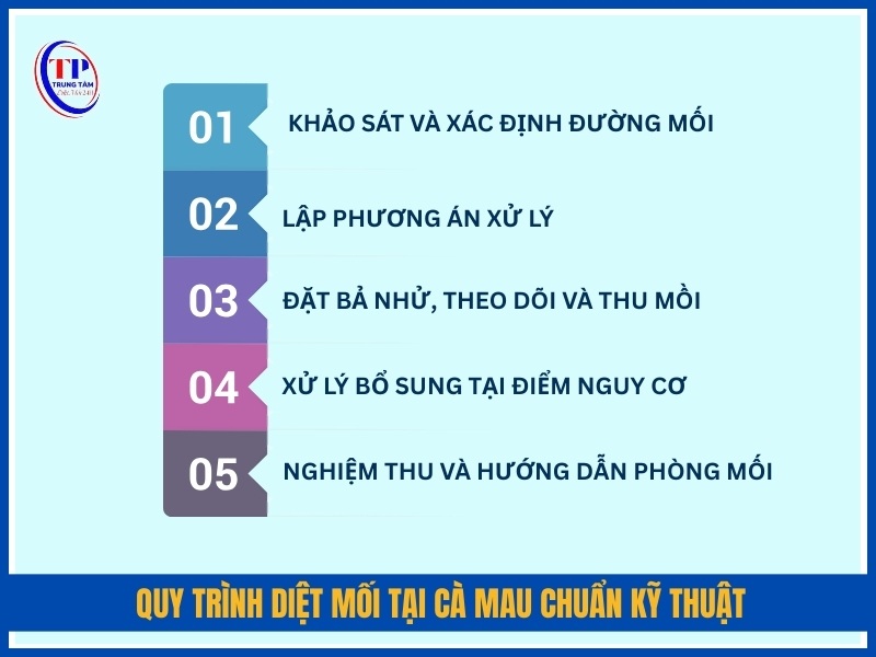 Quy trình diệt mối tại Cà Mau chuẩn kỹ thuật