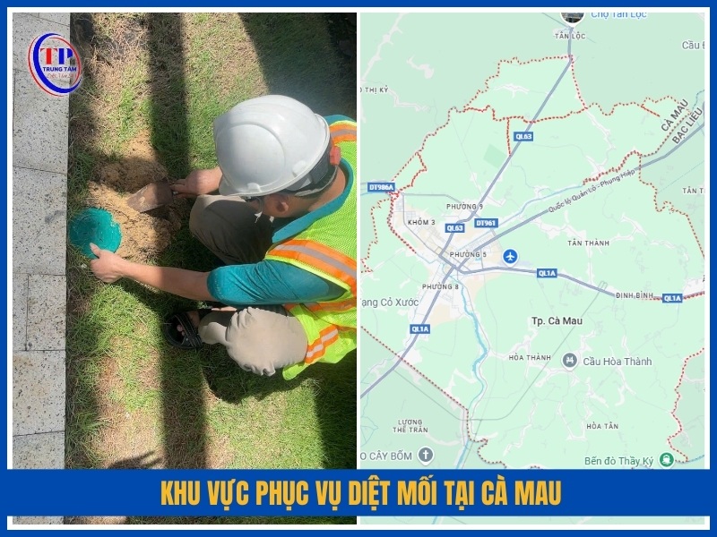 Khu vực phục vụ diệt mối tại Cà Mau