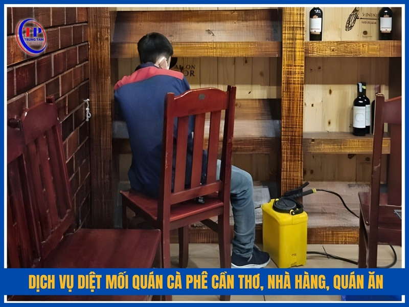Dịch vụ diệt mối quán cà phê Cần Thơ, nhà hàng, quán ăn
