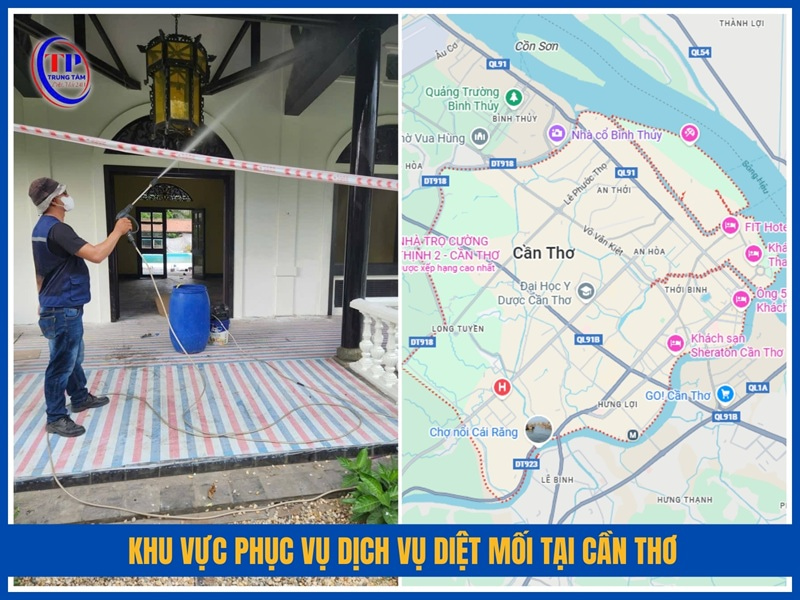 Khu vực phục vụ dịch vụ diệt mối tại Cần Thơ