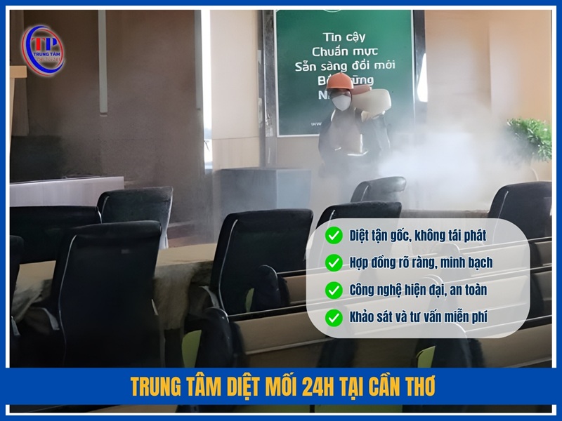 Trung Tâm Diệt Mối 24H tại Cần Thơ