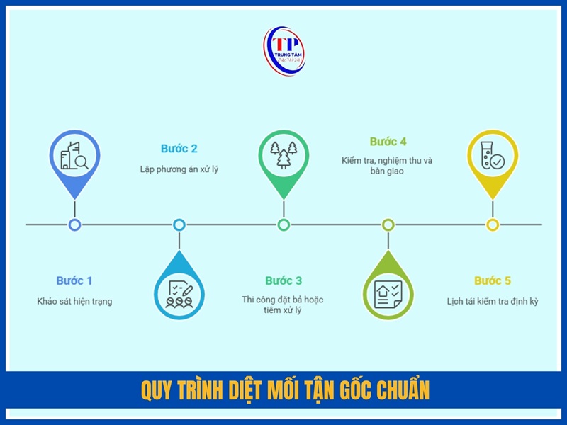Quy trình diệt mối tận gốc chuẩn