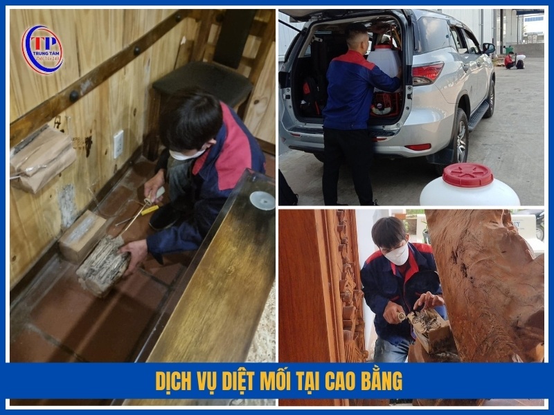 Dich vu diet moi tai Cao Bang