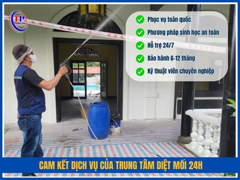 Cam kết dịch vụ và chính sách bảo hành của Trung Tâm Diệt Mối 24H