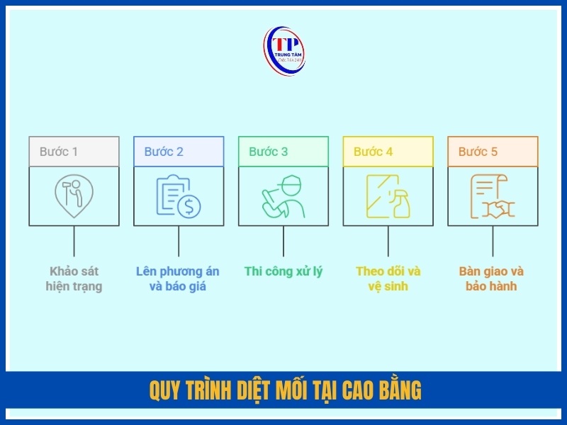 Quy trình diệt mối tại Cao Bằng