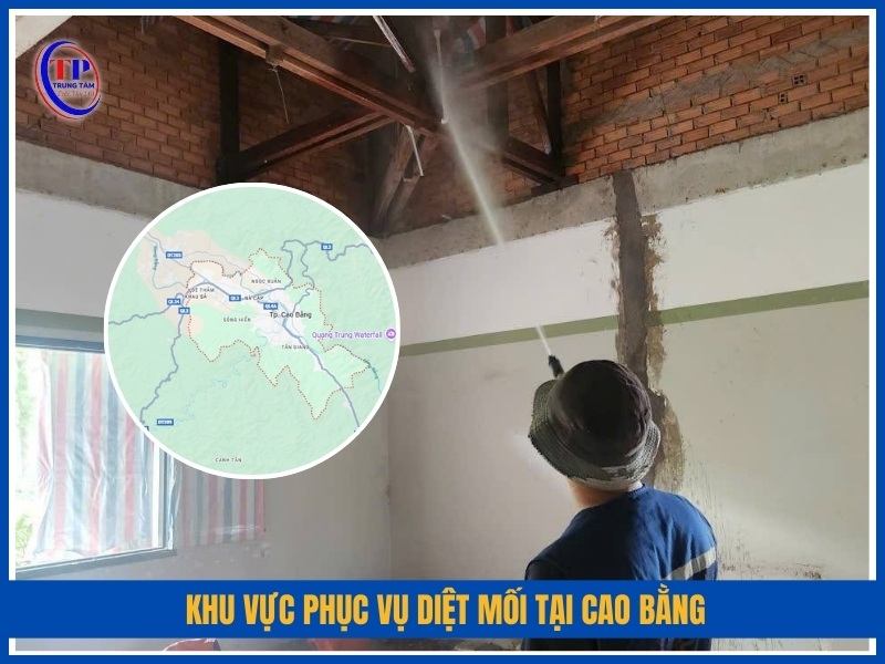 Khu vực phục vụ diệt mối tại Cao Bằng