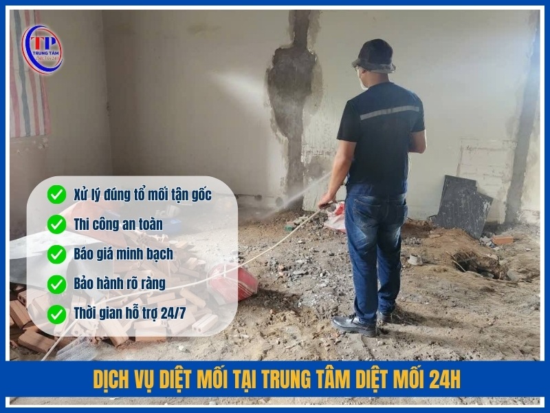 Dịch vụ diệt mối tại Trung Tâm Diệt Mối 24H có gì nổi bật?