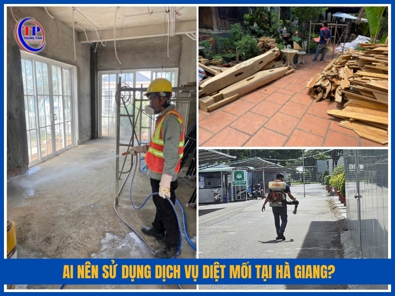 Ai nên sử dụng dịch vụ diệt mối tại Hà Giang?
