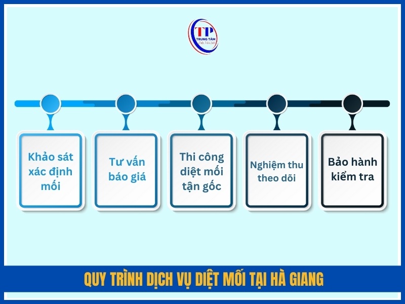 Quy trình dịch vụ diệt mối tại Hà Giang