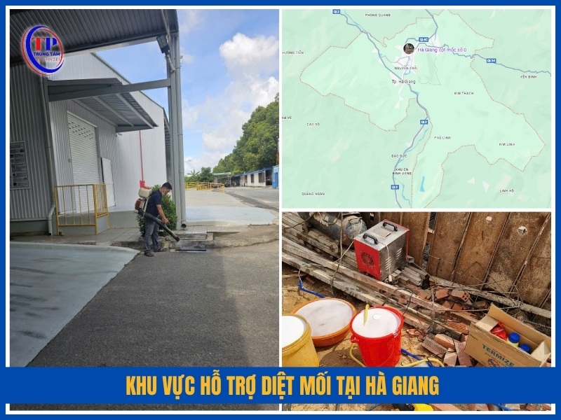 Khu vực hỗ trợ diệt mối tại Hà Giang