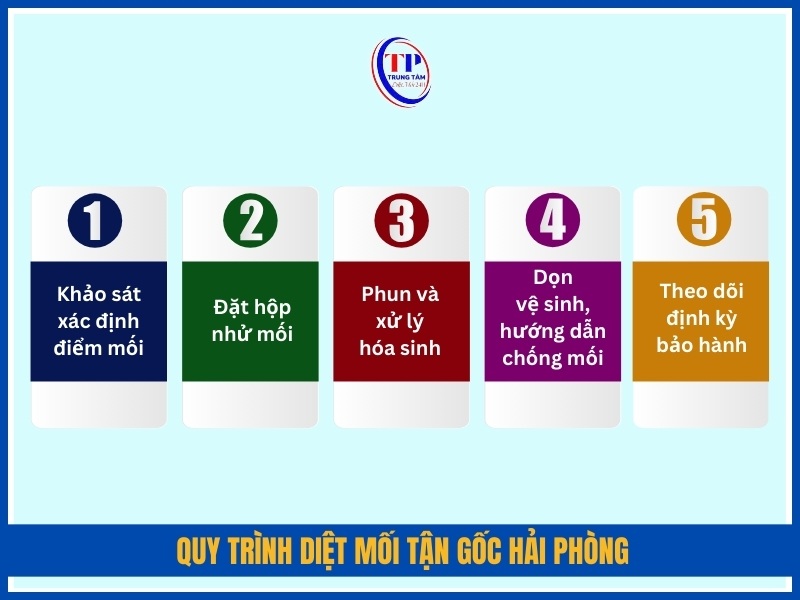 Quy trình diệt mối tận gốc Hải Phòng