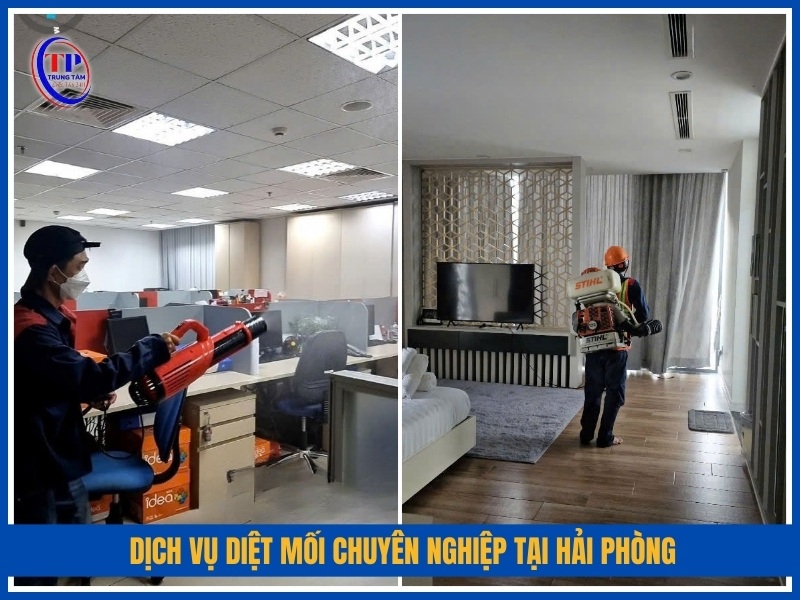 Cam kết dịch vụ và chính sách bảo hành rõ ràng
