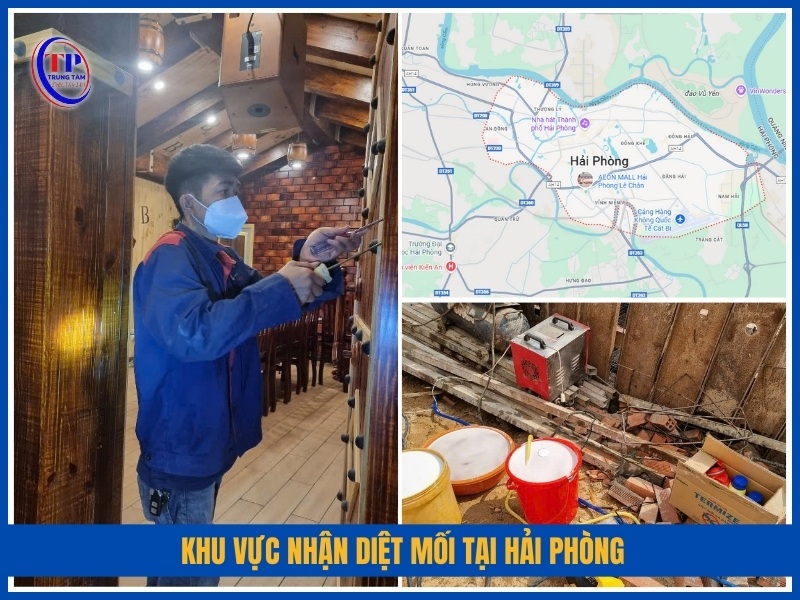 Khu vực nhận diệt mối tại Hải Phòng
