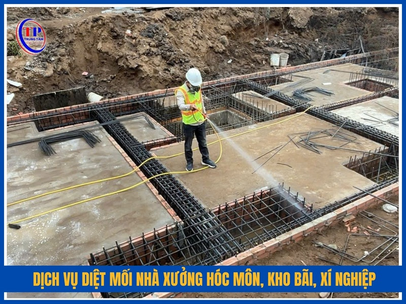 Dịch vụ diệt mối nhà xưởng Hóc Môn, kho bãi, xí nghiệp, nhà máy