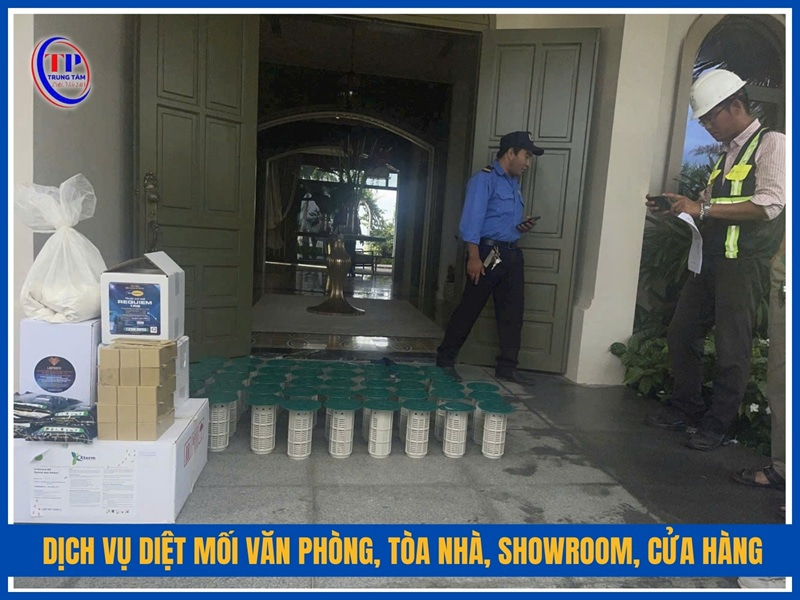 Dịch vụ diệt mối văn phòng, tòa nhà, showroom, cửa hàng Hóc Môn