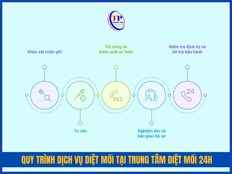 Quy trình dịch vụ diệt mối tại Trung Tâm Diệt Mối 24H