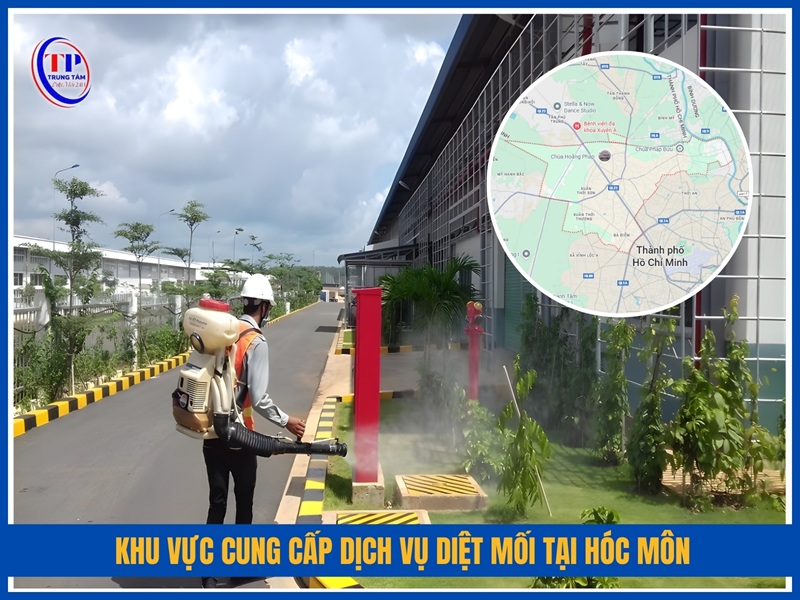 Khu vực cung cấp dịch vụ diệt mối tại Hóc Môn