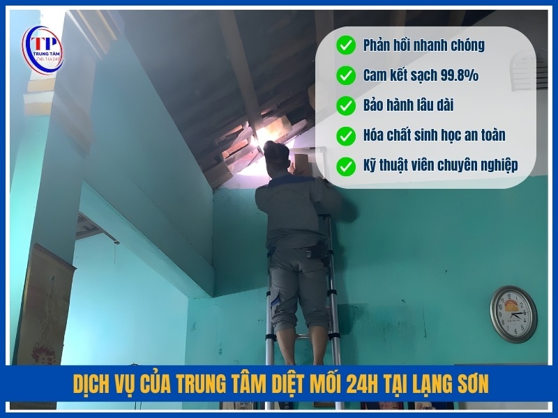 Dịch vụ của Trung Tâm Diệt Mối 24H tại Lạng Sơn