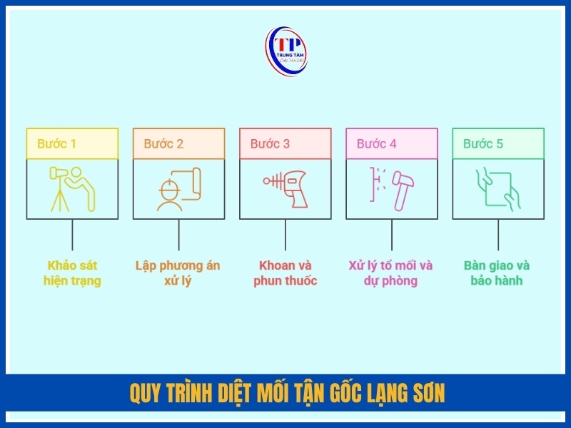 Quy trình diệt mối tận gốc Lạng Sơn