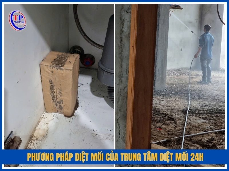 Phương pháp diệt mối của Trung Tâm Diệt Mối 24H