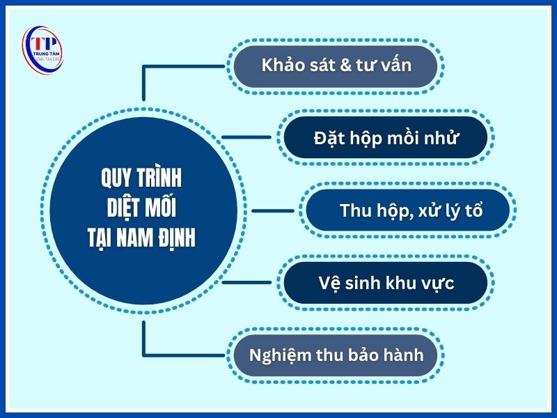 Quy trình diệt mối tại nhà Nam Định