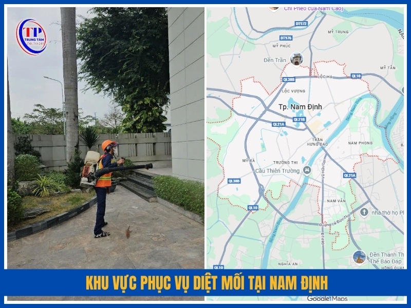 Khu vực phục vụ diệt mối tại Nam Định