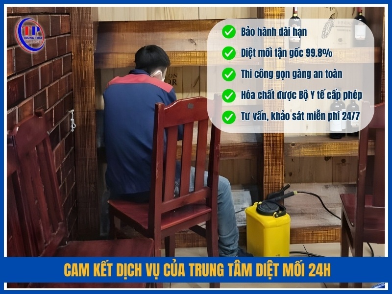 Cam kết dịch vụ của Trung Tâm Diệt Mối 24H