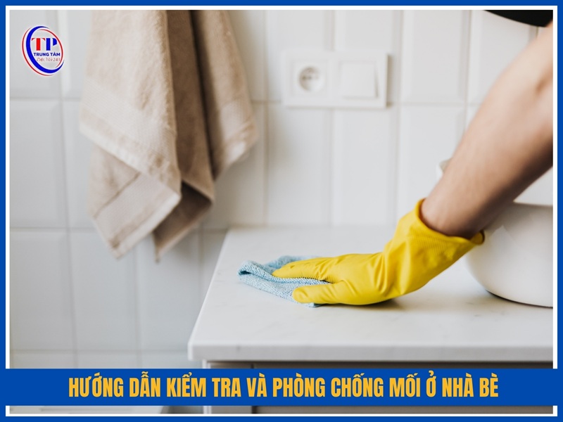 Hướng dẫn kiểm tra và phòng chống mối ở Nhà Bè