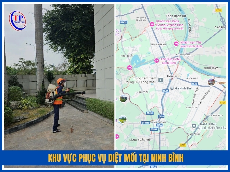Khu vực phục vụ diệt mối tại Ninh Bình