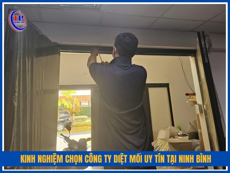 Kinh nghiệm chọn công ty diệt mối uy tín tại Ninh Bình