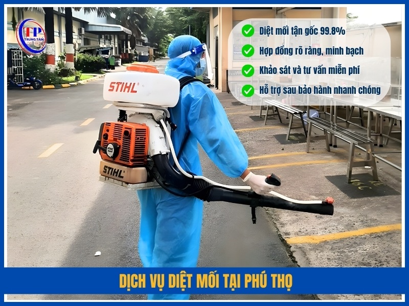 Dịch vụ diệt mối tại Phú Thọ