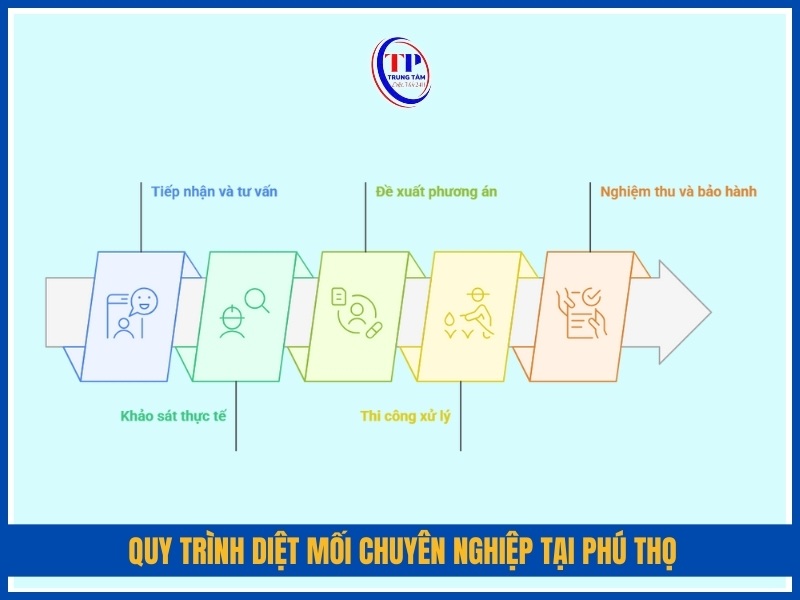 Quy trình diệt mối chuyên nghiệp tại Phú Thọ