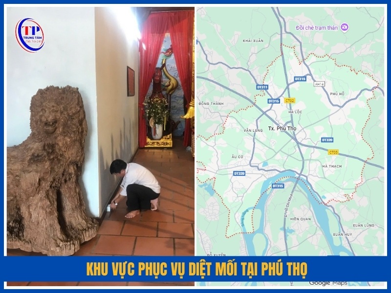 Khu vực phục vụ diệt mối tại Phú Thọ