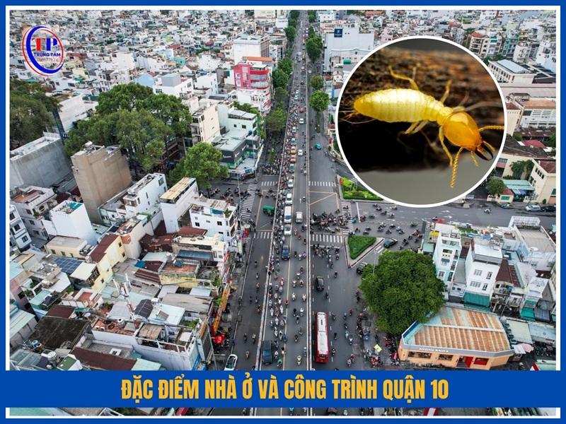 Đặc điểm nhà ở và công trình Quận 10