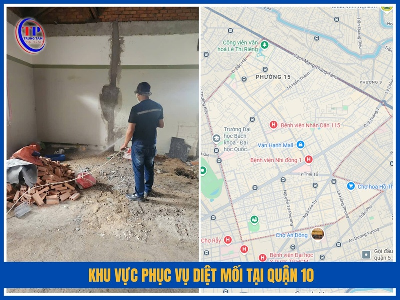 Khu vực phục vụ diệt mối tại Quận 10