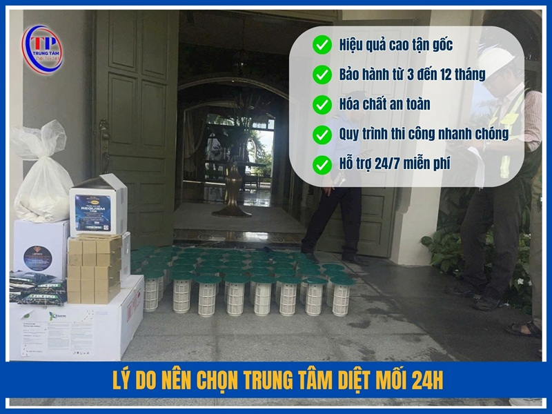 Lý do nên chọn Trung Tâm Diệt Mối 24H