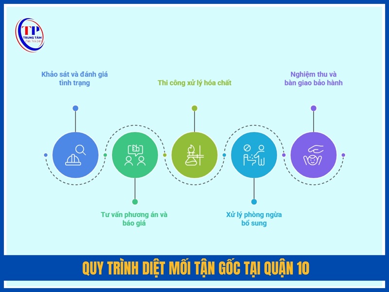 Quy trình diệt mối tận gốc tại Quận 10
