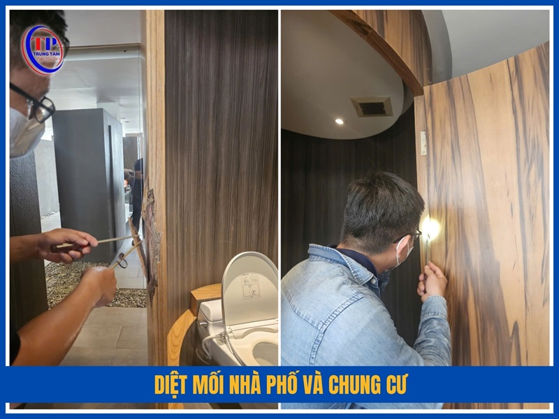 Diệt mối nhà phố và chung cư