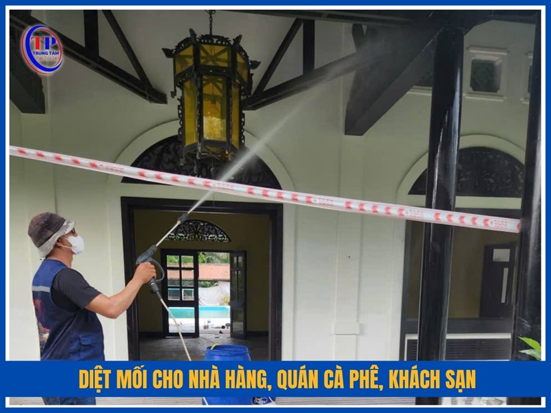 Diệt mối cho nhà hàng, quán cà phê, khách sạn