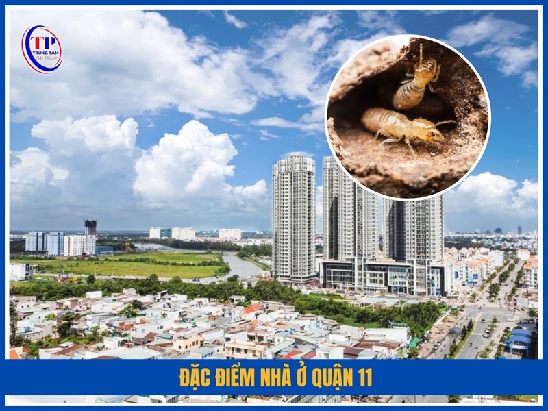Đặc điểm nhà ở Quận 11