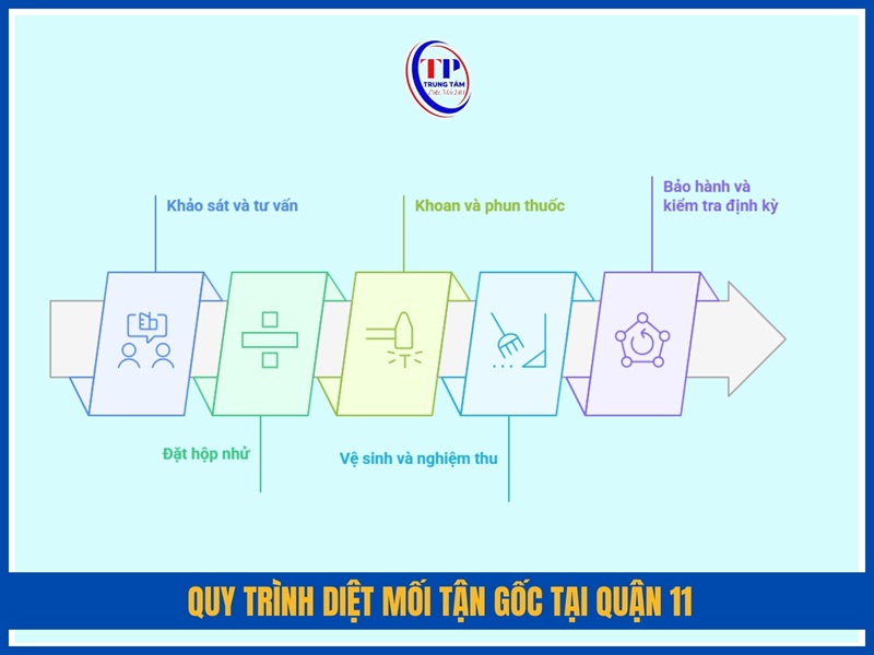 Quy trình diệt mối tận gốc