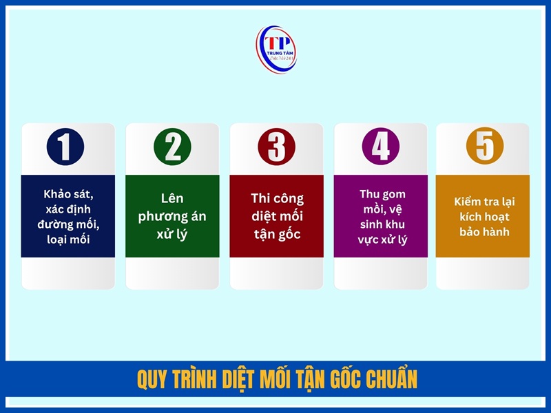 Quy trình diệt mối tận gốc chuẩn 5 bước