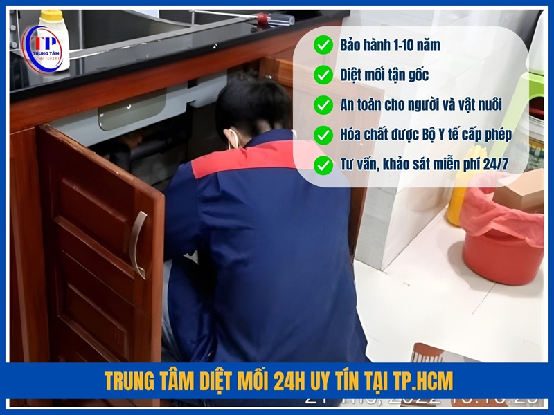 Trung Tâm Diệt Mối 24H uy tín tại TP.HCM