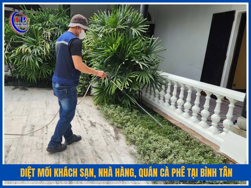 Diệt mối khách sạn, nhà hàng, quán cà phê tại Bình Tân