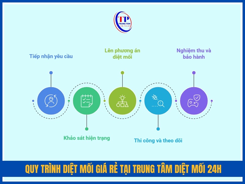 Quy trình diệt mối giá rẻ tại Trung Tâm Diệt Mối 24H