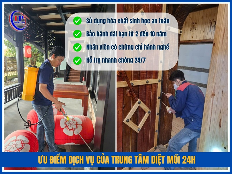 Ưu điểm dịch vụ của Trung Tâm Diệt Mối 24H